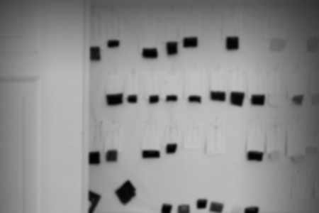 Hannibal. newsletter.